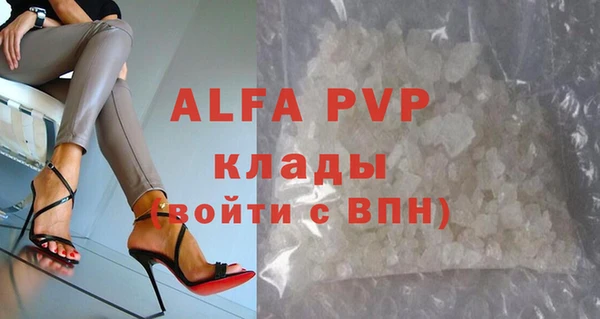 индика Волоколамск