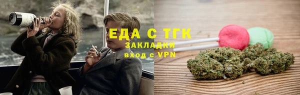 индика Волоколамск