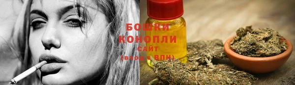 стафф Володарск