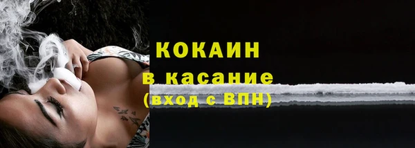 индика Волоколамск