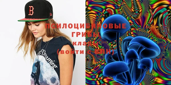 стафф Володарск