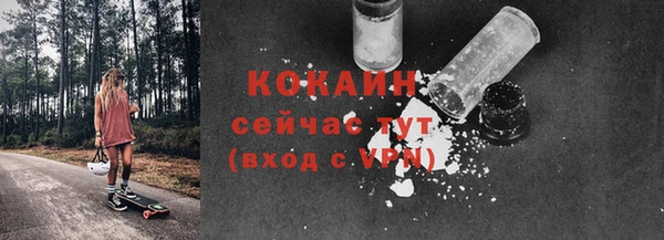 не бодяженный Бородино