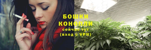 не бодяженный Бородино