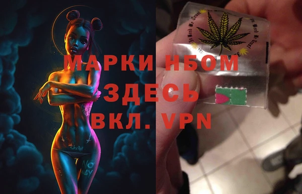 индика Волоколамск